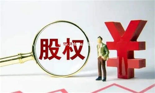 visa是什么意思(Visa的含义)